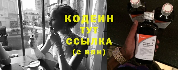 прущие крисы Горняк