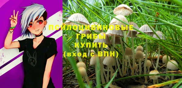 jwh Горно-Алтайск