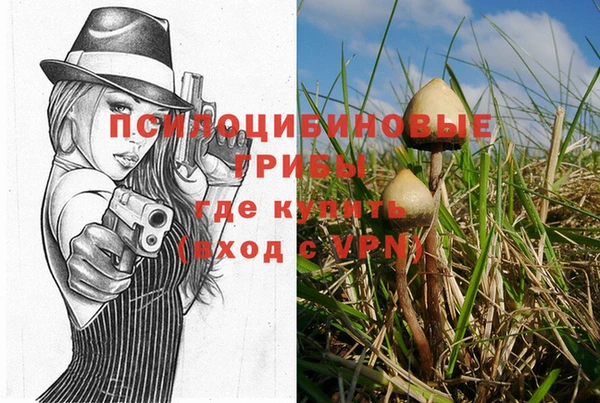 хмурый Горнозаводск