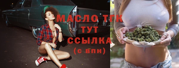 прущие крисы Горняк