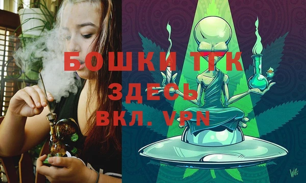 прущие крисы Горняк