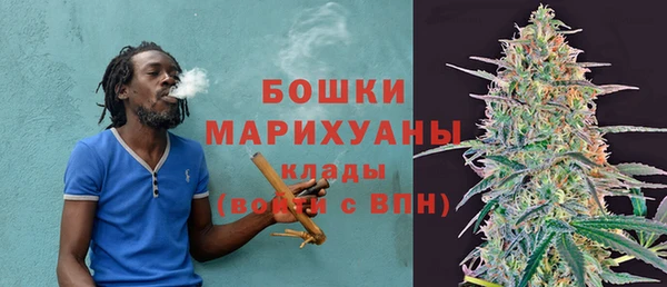 прущие крисы Горняк